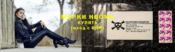 прущие грибы Дмитриев