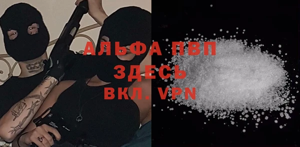 spice Дмитровск