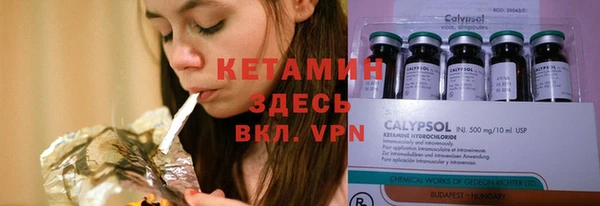 прущие грибы Дмитриев