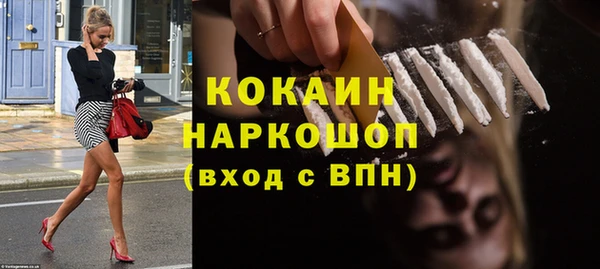 прущие грибы Дмитриев