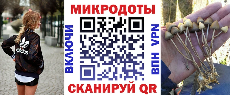 Галлюциногенные грибы MAGIC MUSHROOMS  Южноуральск 